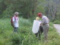 Butterfly Research